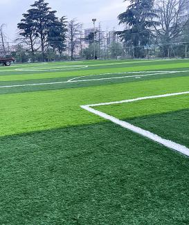High quality 40mm 50mm sport artificial turf grass green carpets for football field